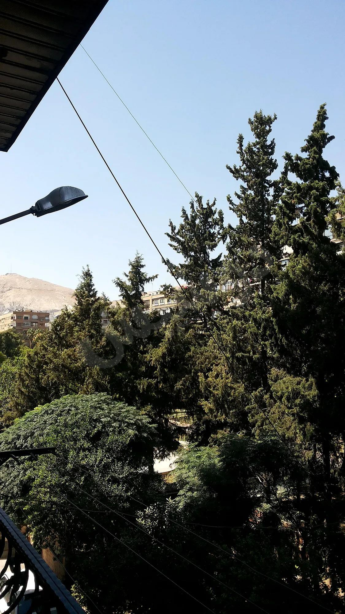 صورة 1