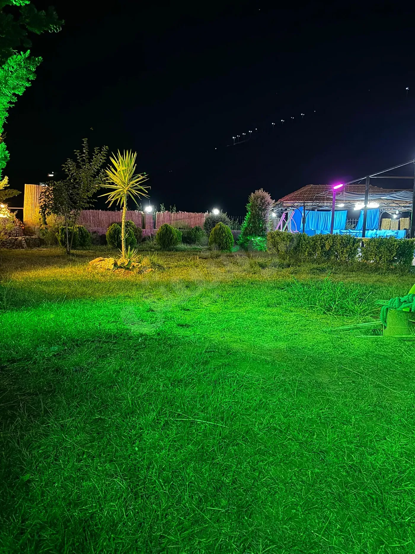 صورة 1